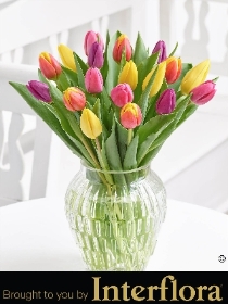 Mixed Tulip Vase with Belgian Chocolates
