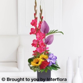 Summer Orchid and Gladioli Arrangement