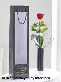 Single Red Rose Vase