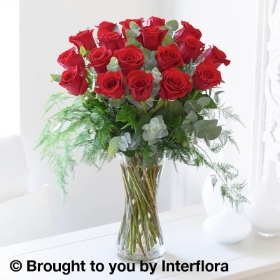 Elegant Red  Rose Vase