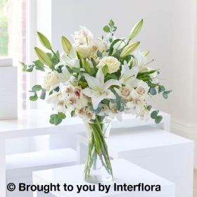 White Lily & Orchid Vase Arrangement