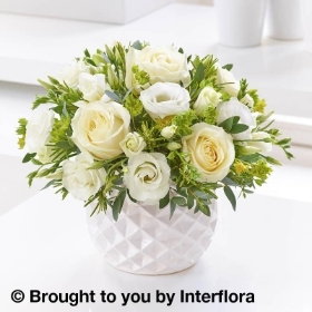 Vanilla Cream Rose & Freesia Arrangement