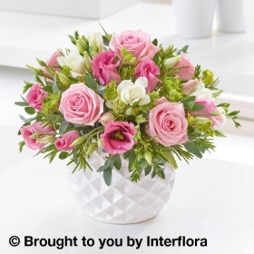 Marshmallow Pink Rose & Freesia Arrangement