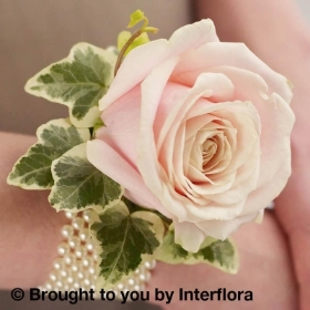 Soft Pink Rose & Pearl Wrist Corsage