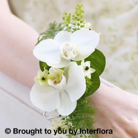 White Orchid & Fern Wrist Corsage