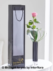 Single Pink Rose Vase with 125g Maison Fougere Chocolates