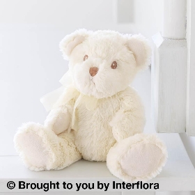 Baby Boy Perfect Gift with Bramble Bear