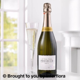 Le Dolce Collini Prosecco