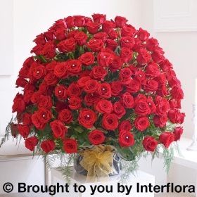 WOW! 200 Red Rose Arrangement