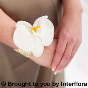 Pure White Orchid and Pearl Wrist Corsage