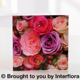 Pink Rose Greeting Card