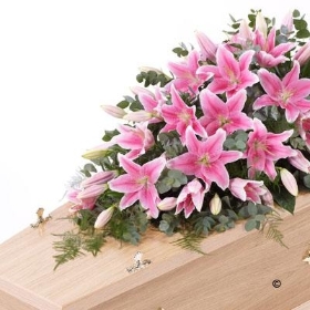 c. Casket Spray of Lilies in Pink